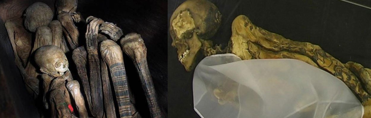 Mummified tattooed bodies showing ancient, intricate ink patterns, highlighting the enduring art of tattooing.