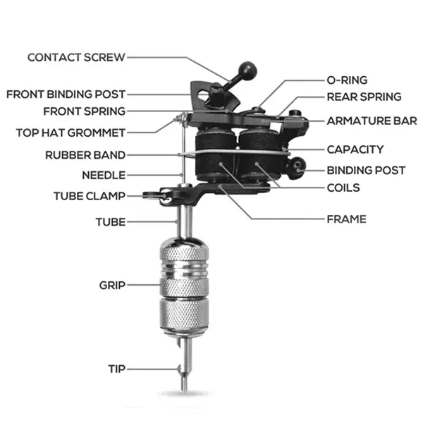 Labeled coil tattoo machine anatomy diagram — contact screw, armature bar, coils, springs, frame, tube, grip, and tip identified