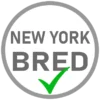 REBEL Tattoo Apparel badge New York bred identity for tattoo artists