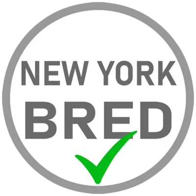 REBEL Tattoo Apparel badge New York bred identity for tattoo artists